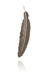 Bohemia Feather Earring in Silver - 30% REA