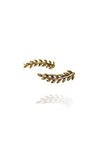 Bohemia earcrawler fern - 30% REA